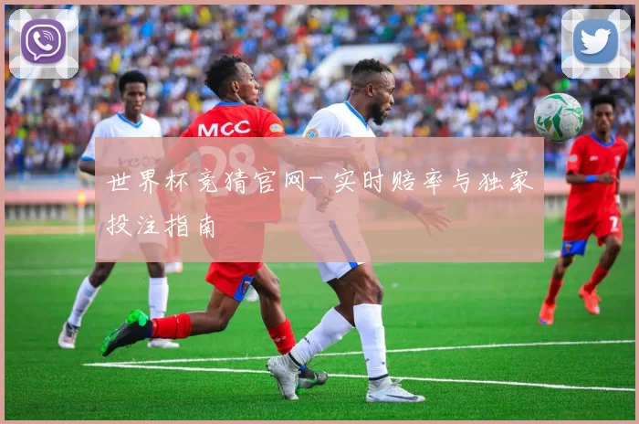世界杯竞猜官网- 实时赔率与独家投注指南