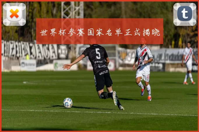 世界杯参赛国家名单正式揭晓