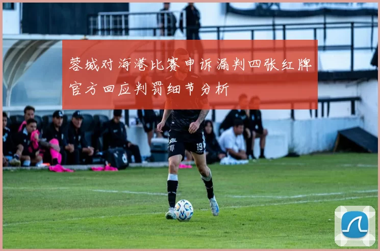 蓉城对海港比赛申诉漏判四张红牌官方回应判罚细节分析