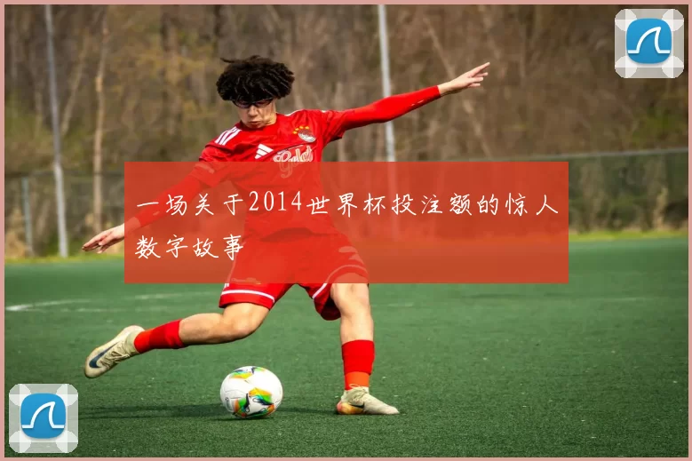 一场关于2014世界杯投注额的惊人数字故事
