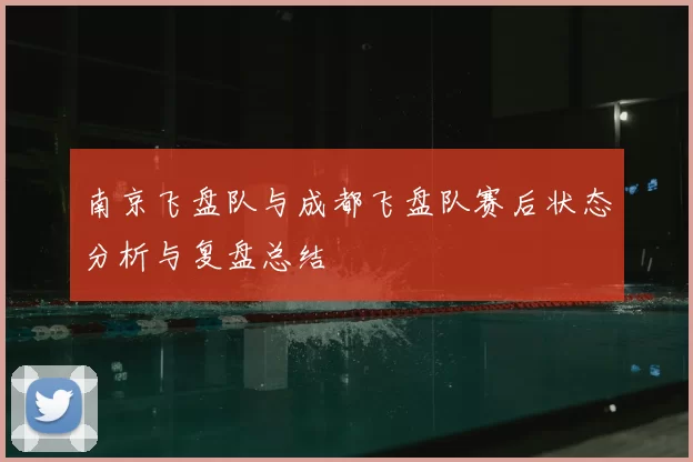 南京飞盘队与成都飞盘队赛后状态分析与复盘总结