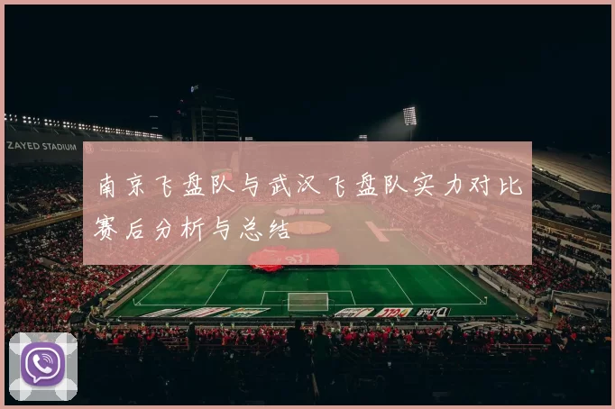 南京飞盘队与武汉飞盘队实力对比赛后分析与总结