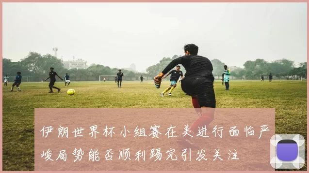 伊朗世界杯小组赛在美进行面临严峻局势能否顺利踢完引发关注