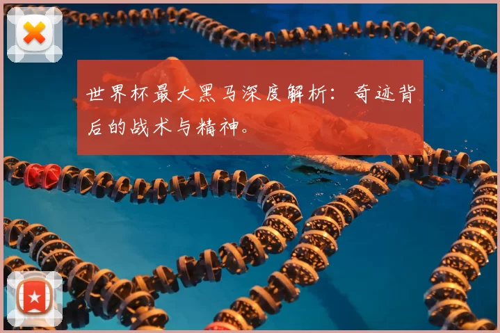 世界杯最大黑马深度解析：奇迹背后的战术与精神。