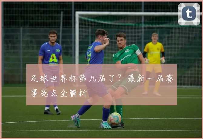 足球世界杯第几届了？最新一届赛事亮点全解析