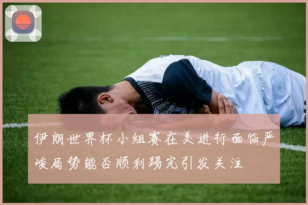 伊朗世界杯小组赛在美进行面临严峻局势能否顺利踢完引发关注