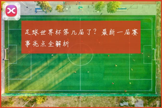 足球世界杯第几届了?最新一届赛事亮点全解析