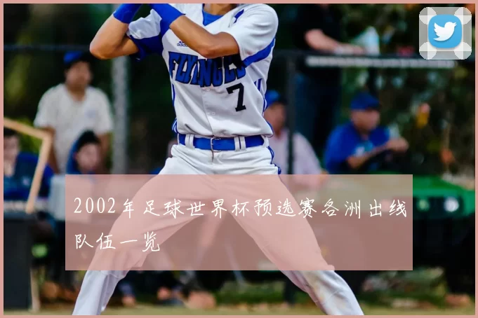 2002年足球世界杯预选赛各洲出线队伍一览