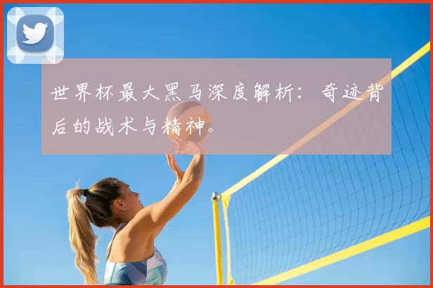 世界杯最大黑马深度解析:奇迹背后的战术与精神。